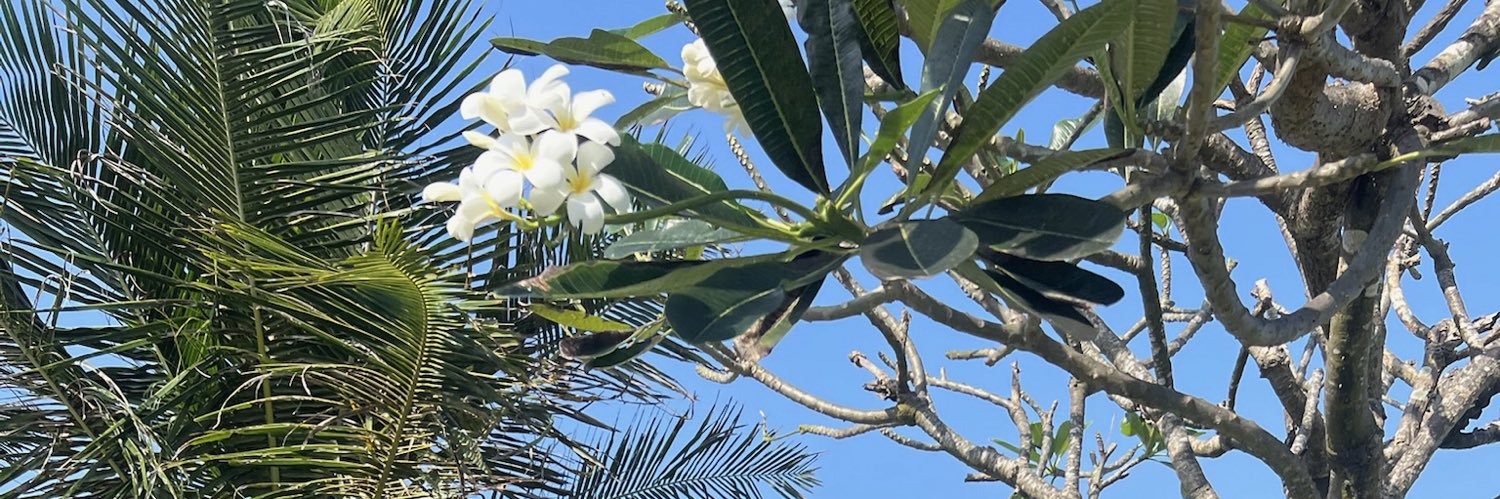 acacaaaa____'s profile banner image
