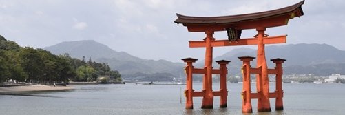 local_hiroshima's profile banner image