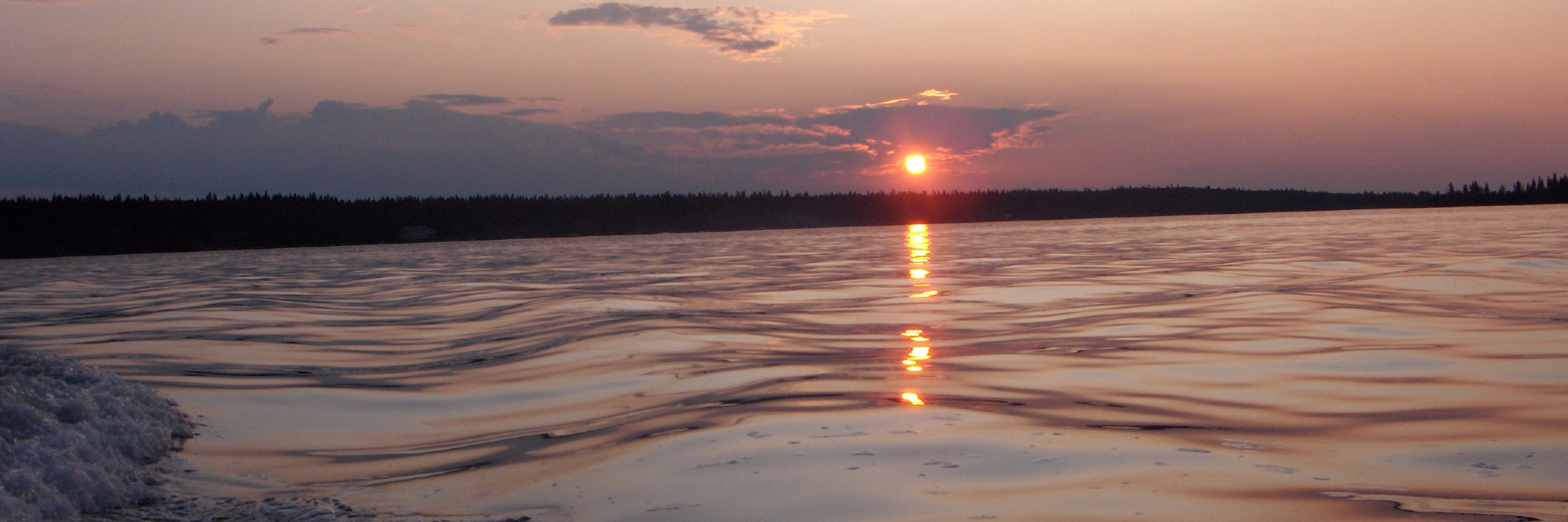 MsSaretsky's profile banner image
