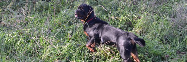 jude_radcliffe Profile Banner