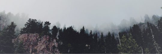 crustyzane's profile banner image