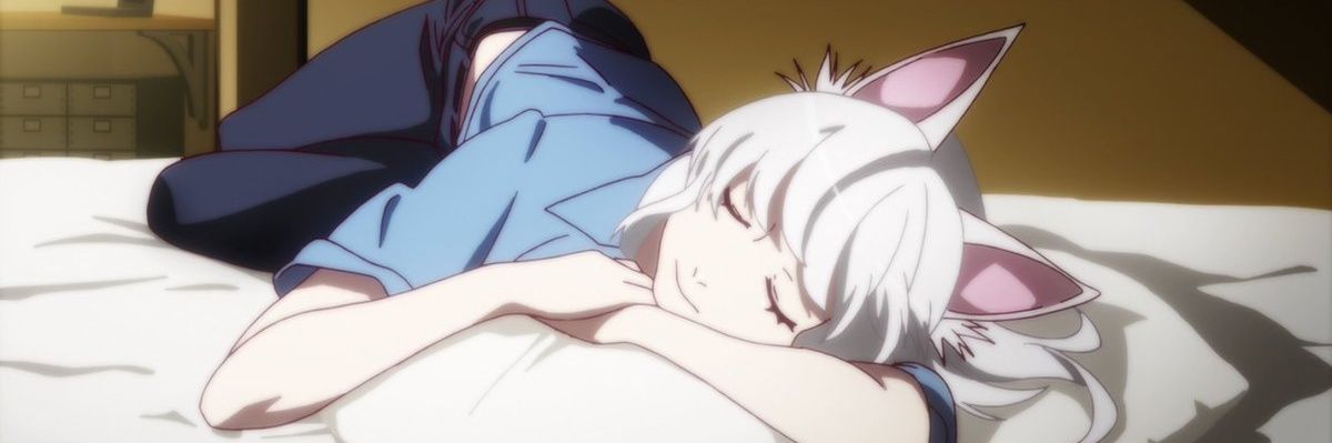 HANEKAWA TSUBASA banner