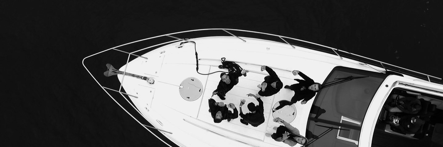 Elvis Licitis banner