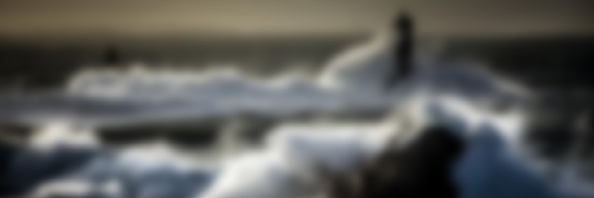 AmiPhal's profile banner image