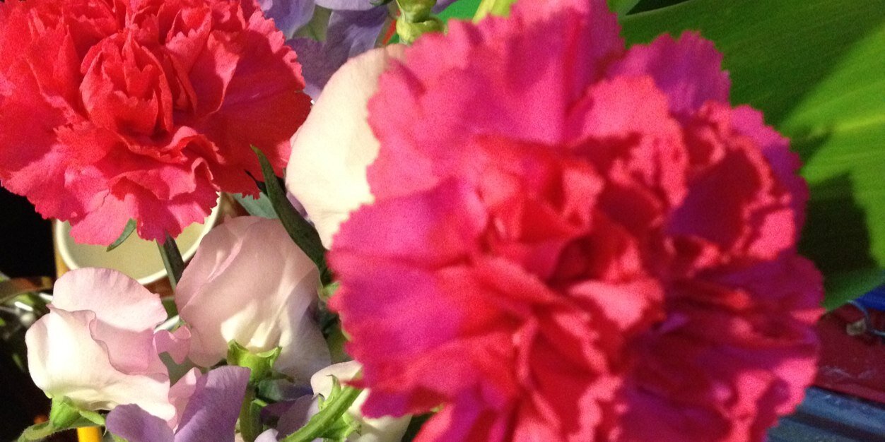 tmk_udn's profile banner image