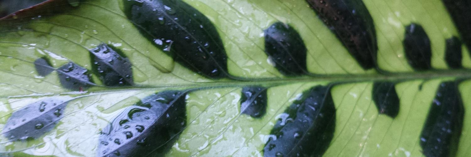 karwilmid's profile banner image