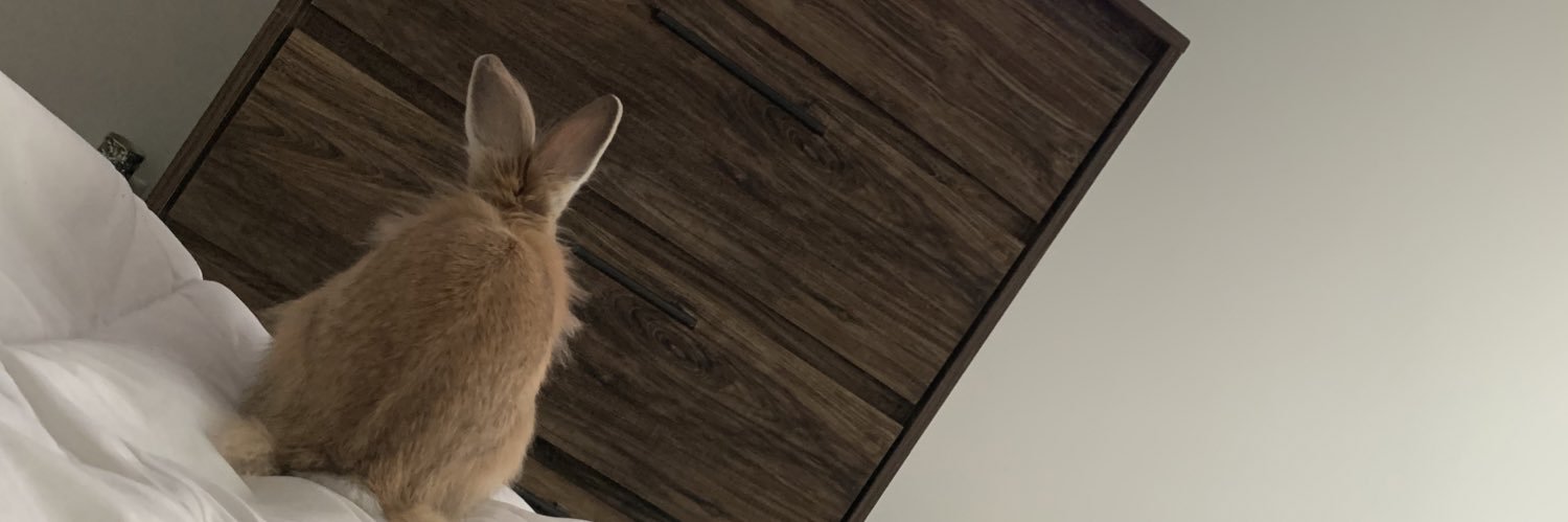ChristyCCombs's profile banner image