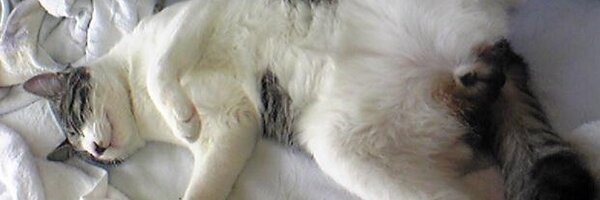 mitune_TI Profile Banner