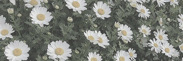 mron_xx's profile banner image