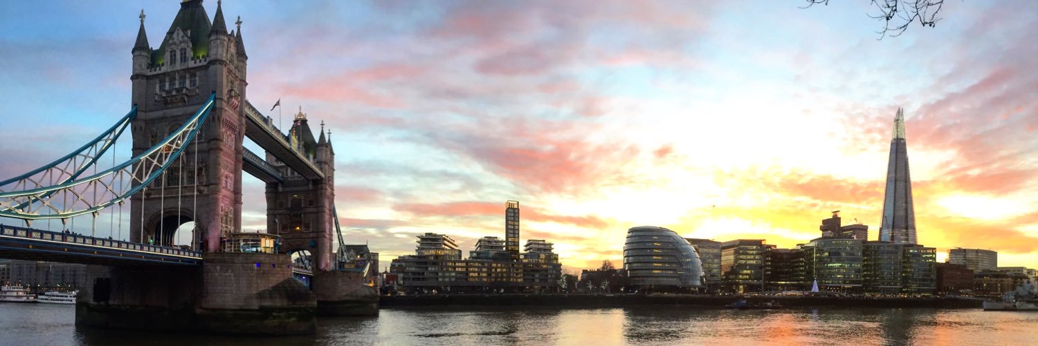 Amnita 🇪🇺 banner