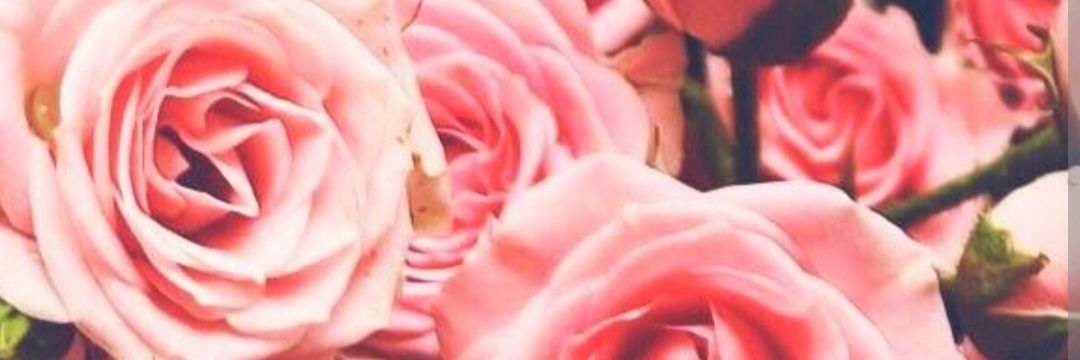 Trisha_Myers's profile banner image