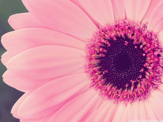 raciia's profile banner image