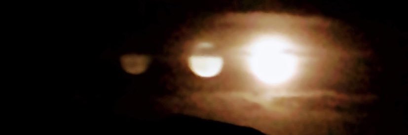 Sherry S banner