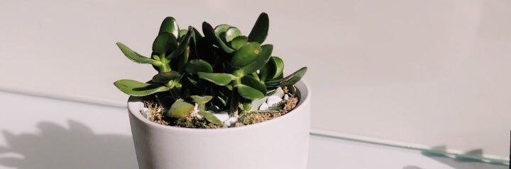 MelinuchaCruz's profile banner image