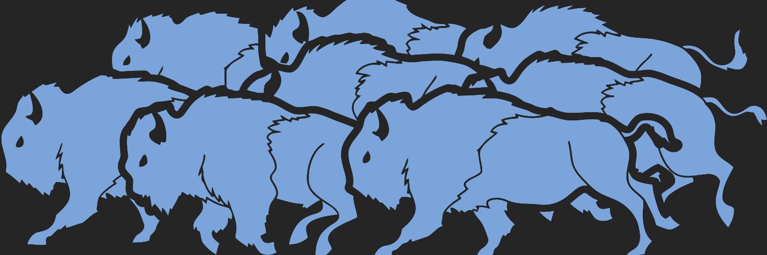 Bison Lacrosse banner