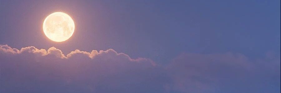 Frrranchesca's profile banner image