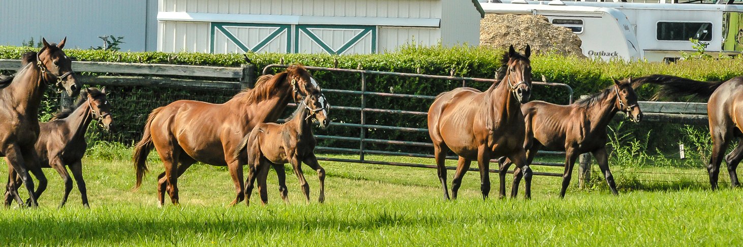 PlanetAcreage's profile banner image