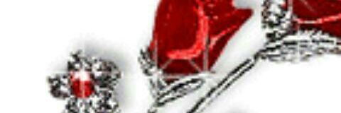 flowervoice556's profile banner image
