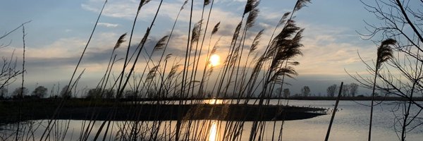 jeffr0 Profile Banner
