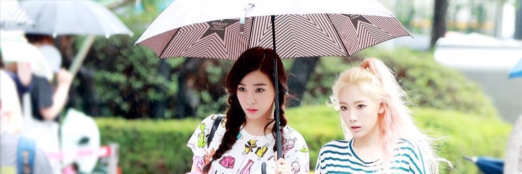 pari_beery's profile banner image