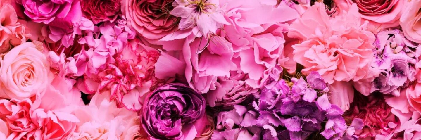 Natalia Meria's banner