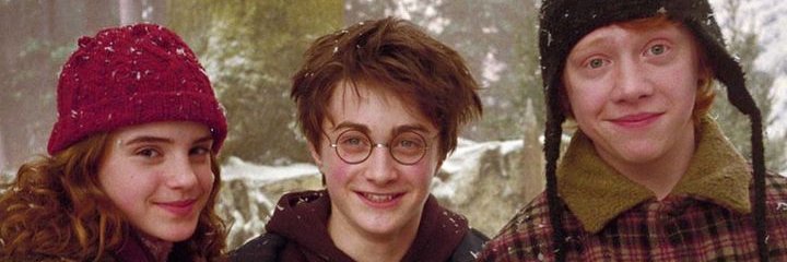 Multiverso Potter banner