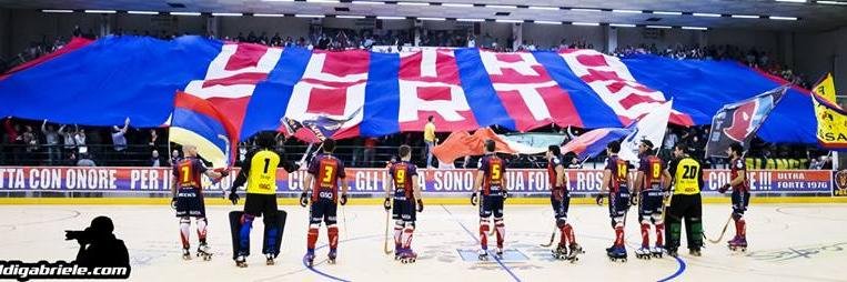 MariaTenerani's profile banner image