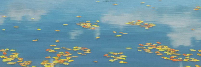 usatorikingyo's profile banner image