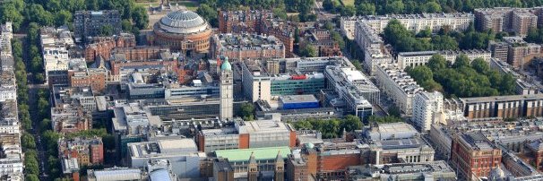 Pedro Ballester banner