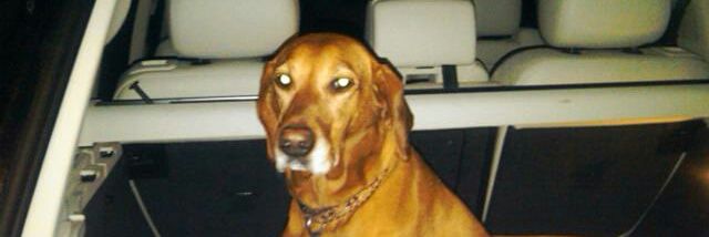 Terry Harrison banner