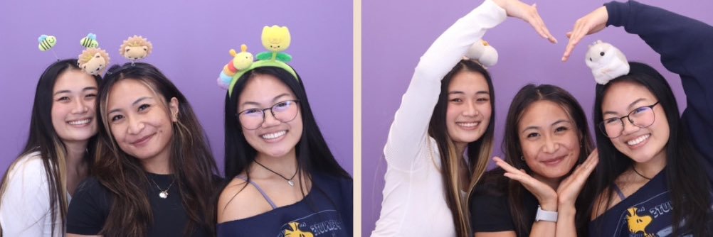 SIDNEY banner