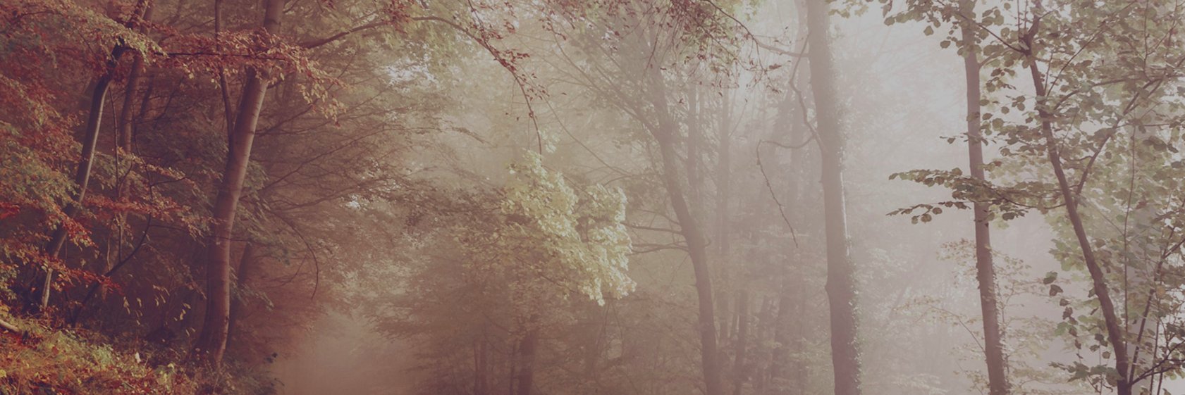 _nhs_me's profile banner image