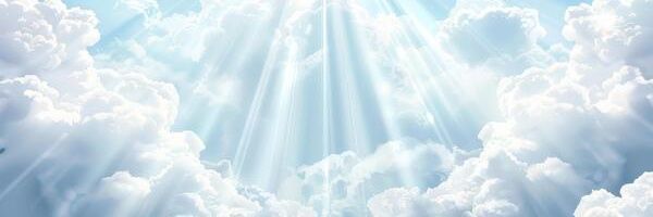 Sheri Netz 🕊's banner