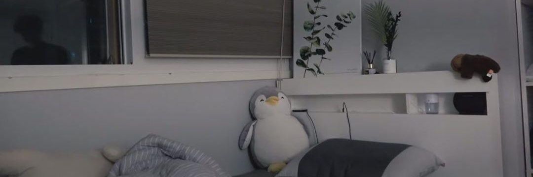 I.am.chameleo banner