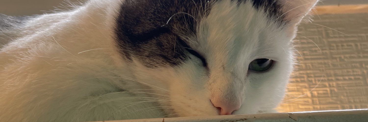 RoCamera's profile banner image