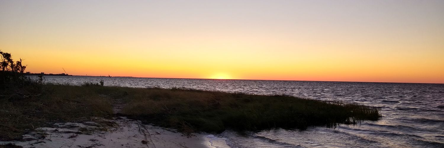 VerneTucker's profile banner image