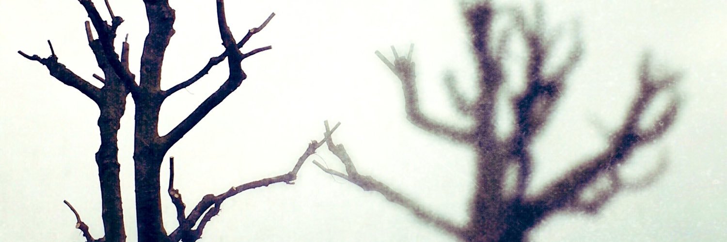 🚶🏻‍♂️Riccardo banner