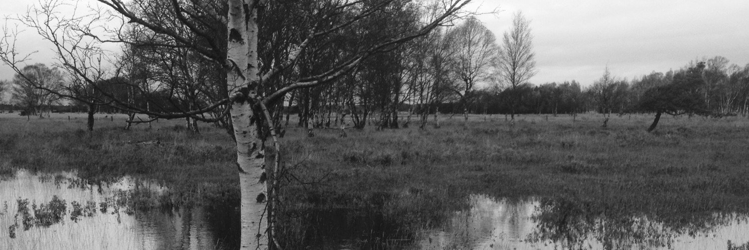 orsonswell's profile banner image