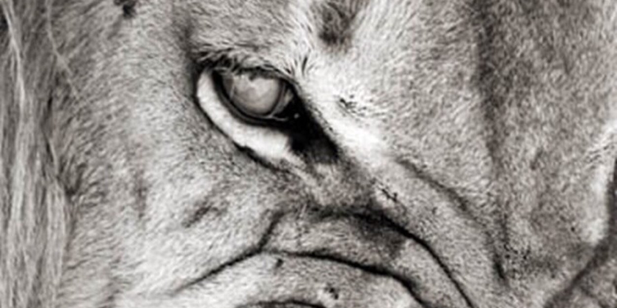 TheMyronB's profile banner image