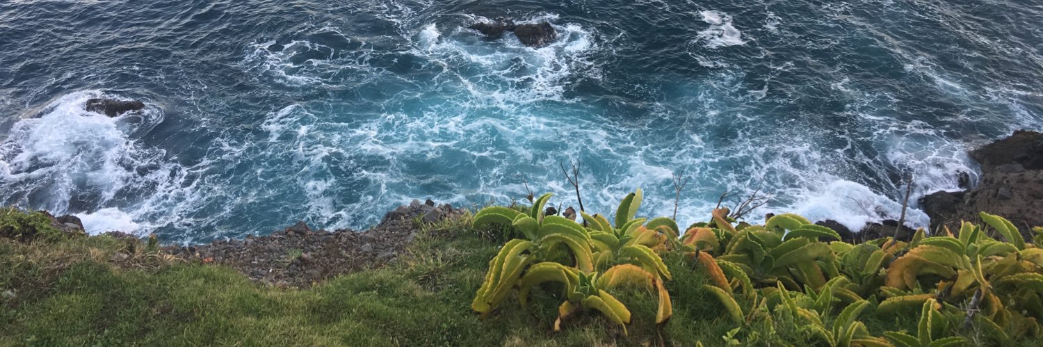 laurentamara11's profile banner image