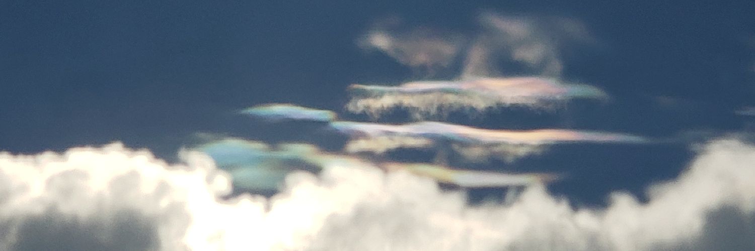 dizmiller's profile banner image