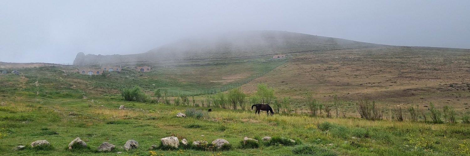 clair de lune. 🌔 banner