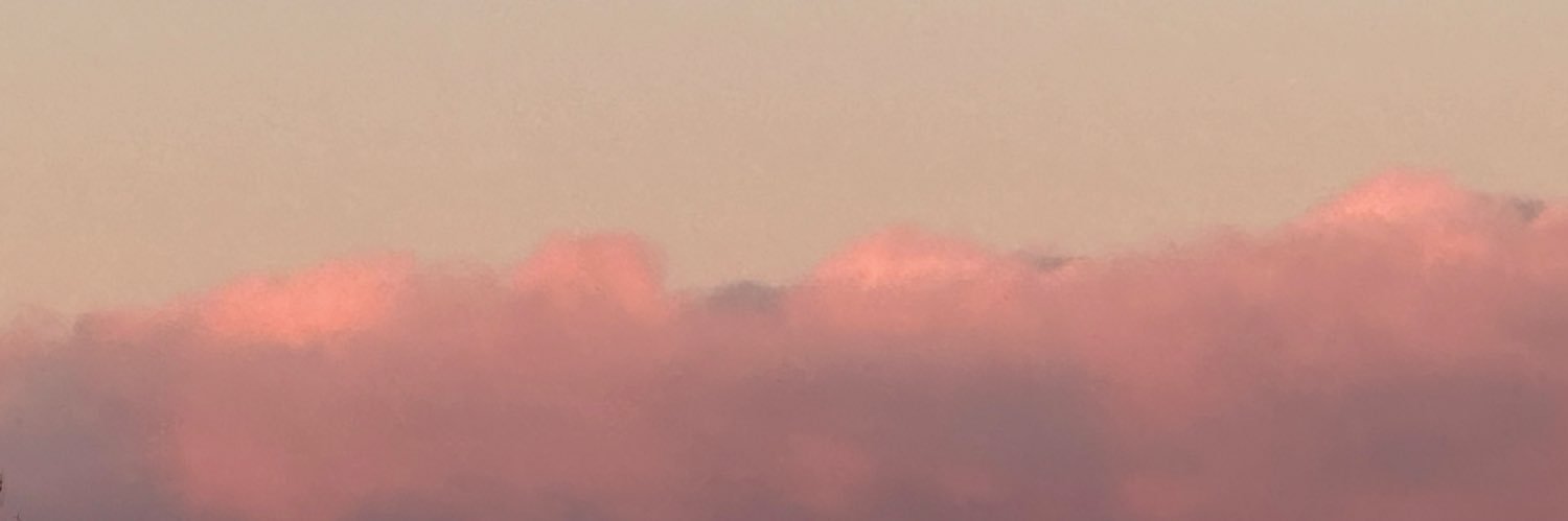 Scy banner