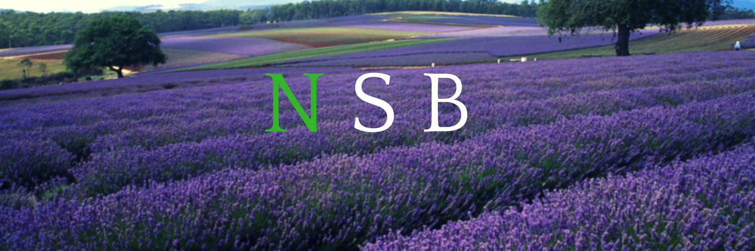 natisheabutter's profile banner image