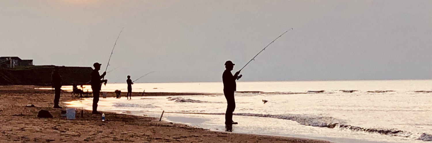 the don of hockey banner