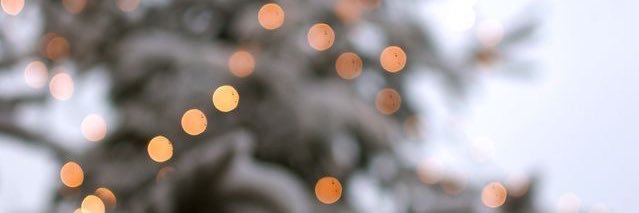 elenatchi's profile banner image