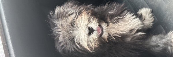 korie_tweets Profile Banner