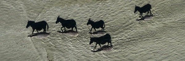 wumidami Profile Banner