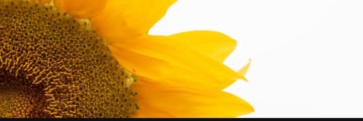 dairyfontes's profile banner image