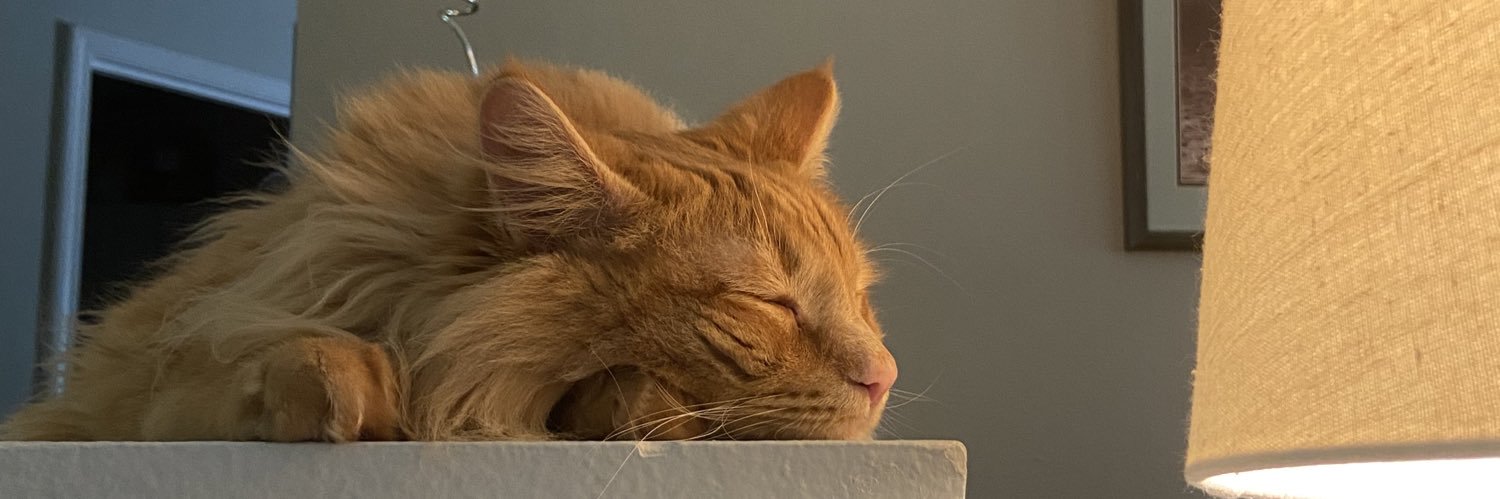 loudbitchbri's profile banner image